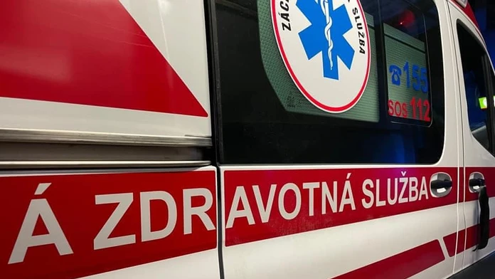 Na snimke je zachranka. 