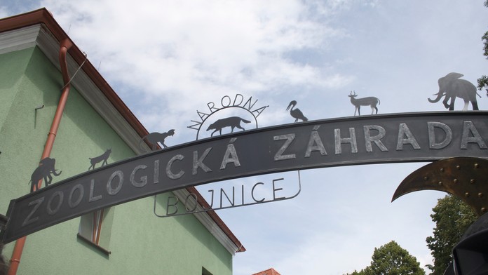 Pracovník čístí veci počas šírenia koronavírusu.