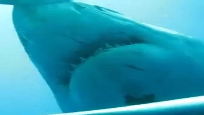 2E433B7600000578-0-image-a-7_1447060132468.jpg