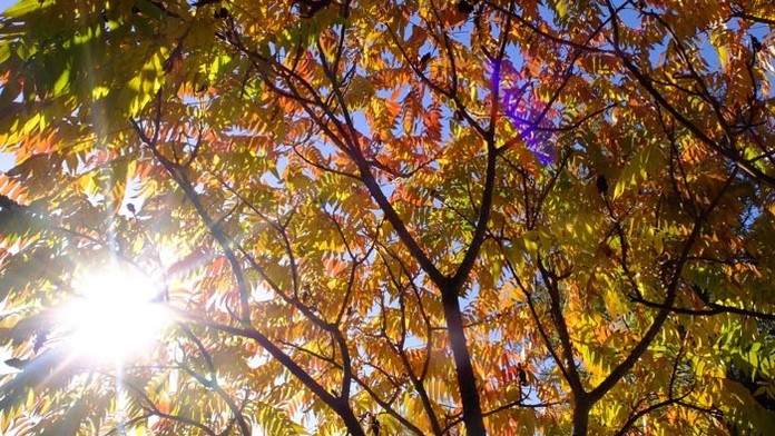 Tento týždeň nás čaká pekné počasie.