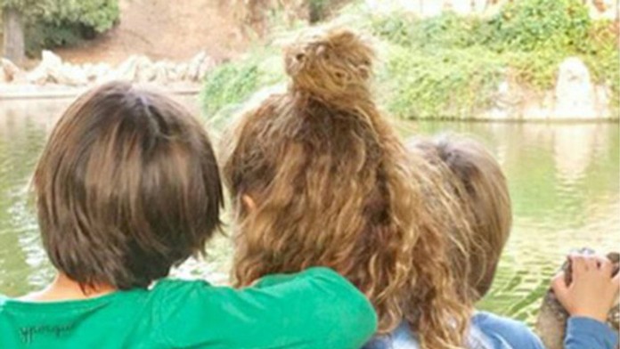 1_reflex_psie_tvnoviny.mp4