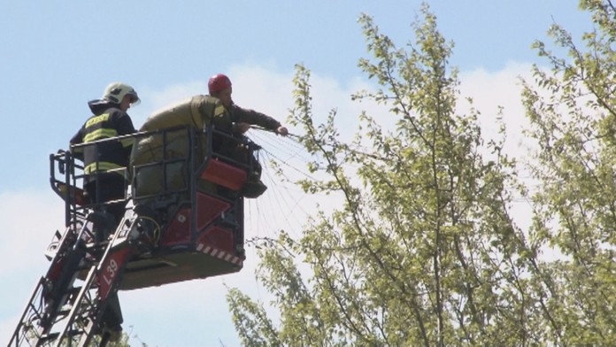 Hasiči pomáhali vojakom.