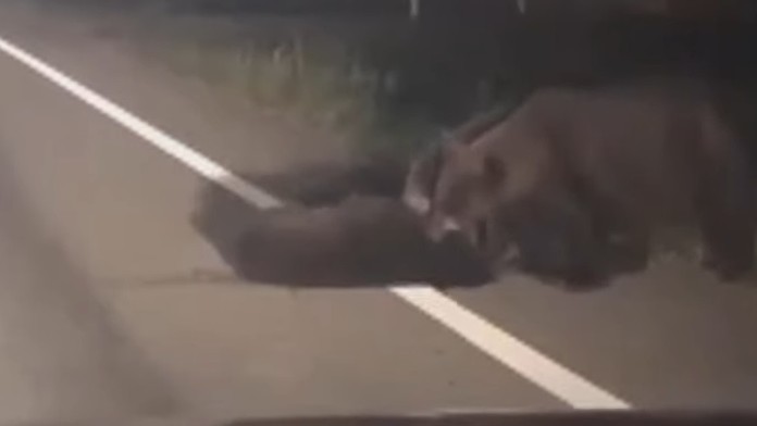 Miňo a Zuzka