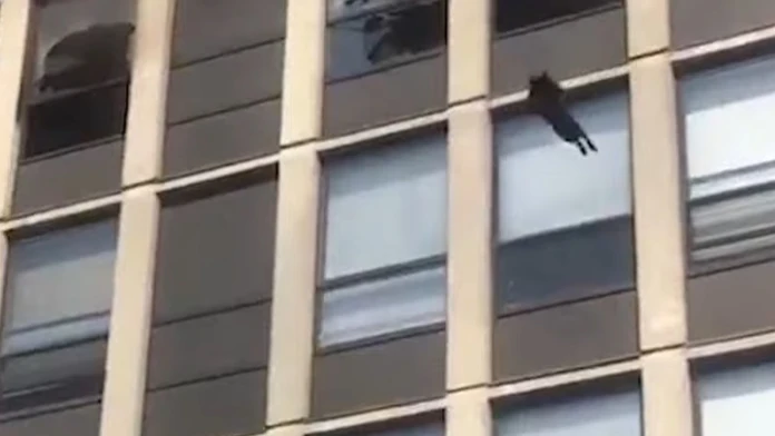 Záber z videa,