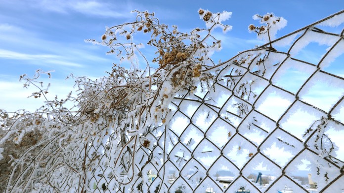 Príchod jari sa odkladá. Čoskoro udrie prudké ochladenie