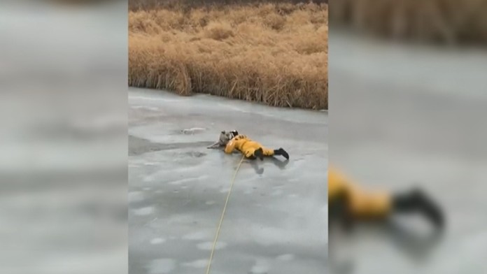 pes_lad_tvnoviny.mp4