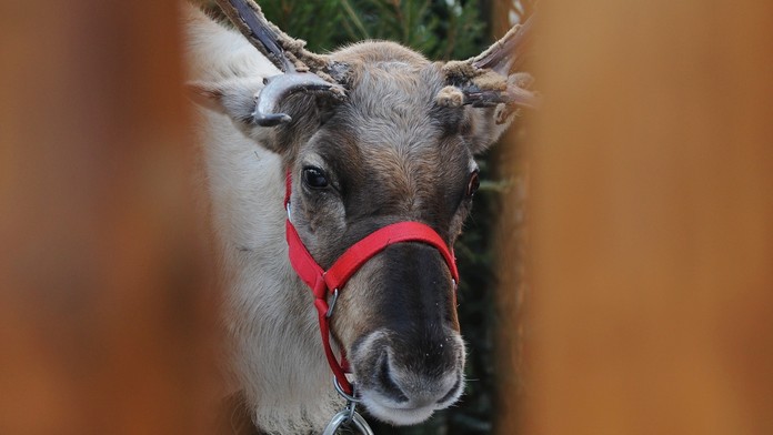 Sob - ilustračné foto..jpg