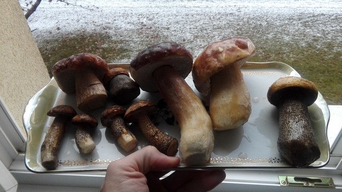 Policajný prezident Milan Lučanský.