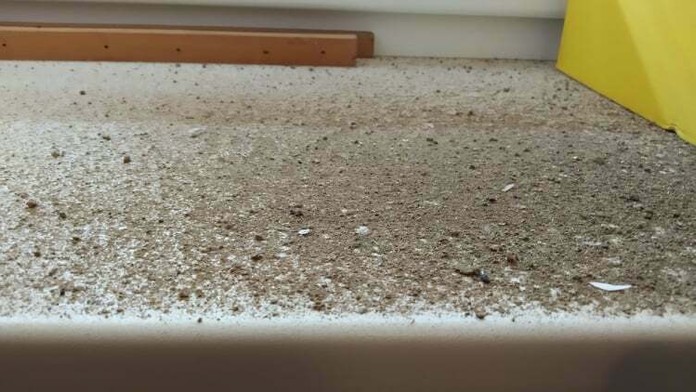 Škody po zemestrasení v 8. Základnej škole v Michalovciach.