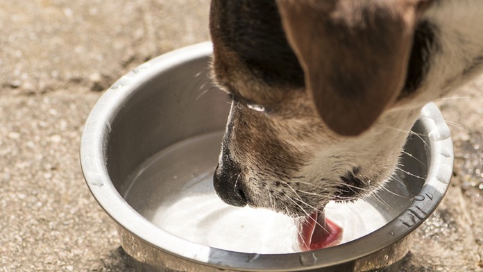 Ilustračná snímka.