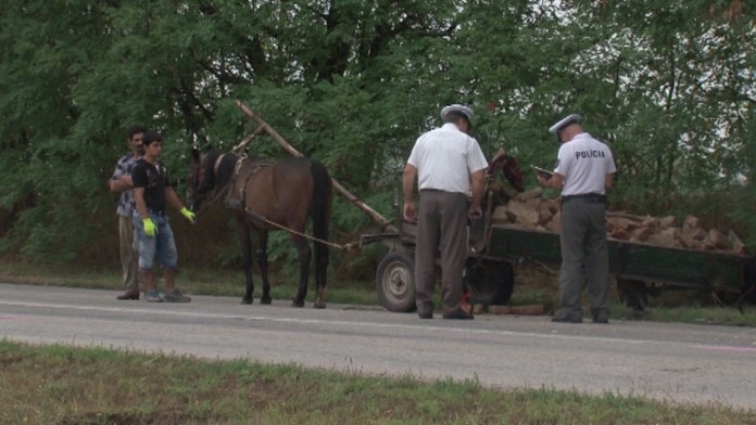 Kobyla bola po nehode v šoku a hodinu sa ani nepohla