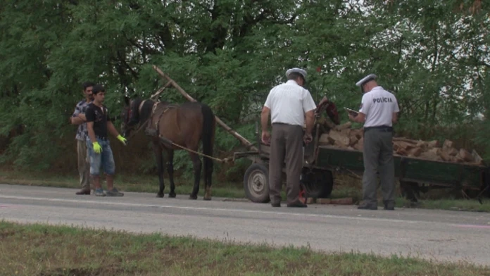 Kobyla bola po nehode v šoku a hodinu sa ani nepohla