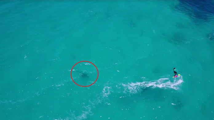 Isabelle prenasledoval žralok. 