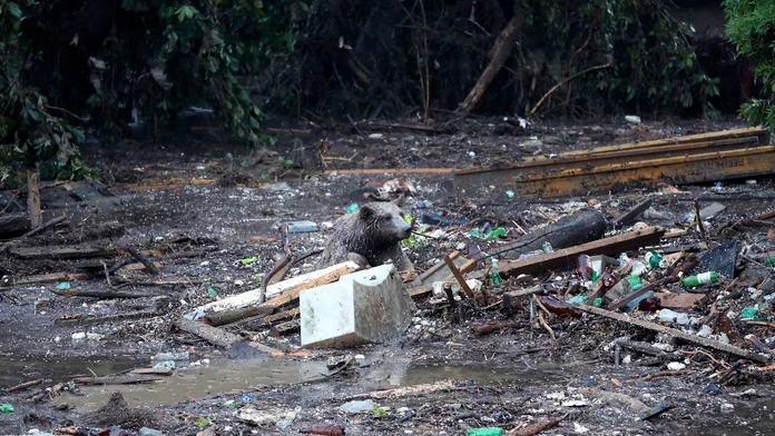 ZOO prišla o viacero zvierat