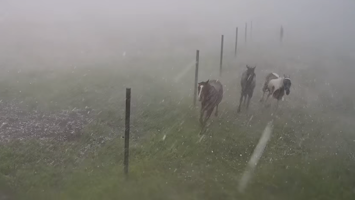 VIDEO: Silu búrky v Závadke ukazujú zábery z jazdeckej školy
