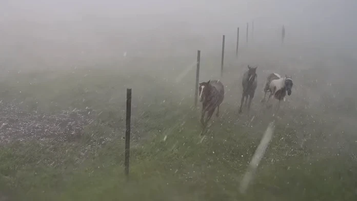 Jazdecká škola v Závadke sa po búrke stala terčom osočovania. Nepoznáte kone, reaguje majiteľka