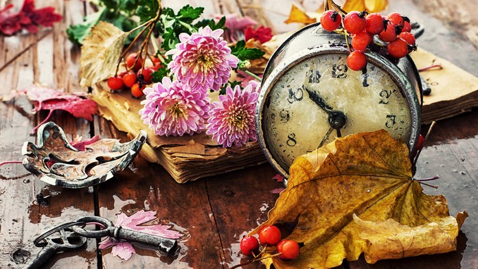 shutterstock_224361325.jpg
