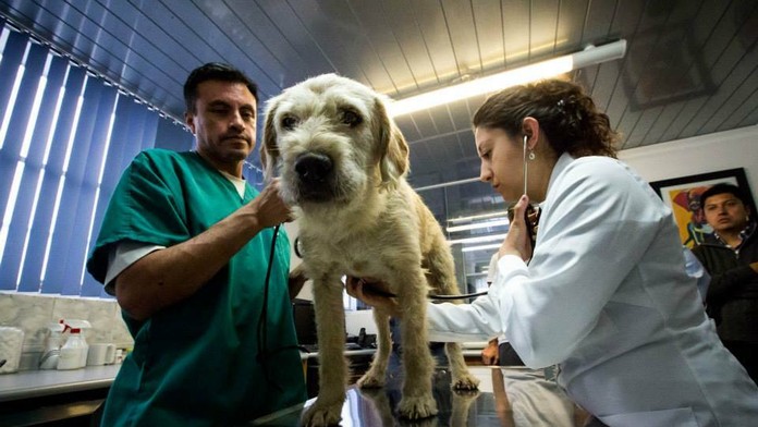 Ilustračná snímka.