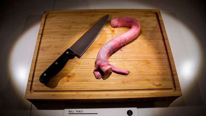 Býči penis.
