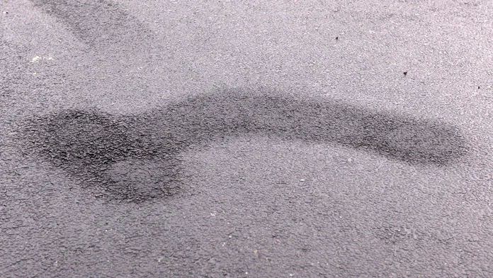 profimedia-0253881990.jpg