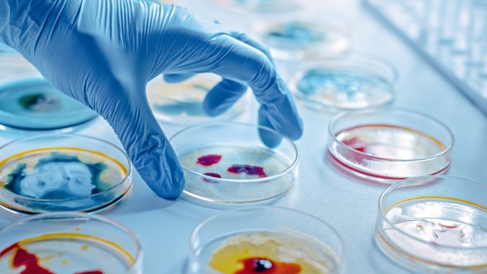 Vedci zistili, že antibiotiká sa dajú nahradiť látkou z brokolice. Tá bola účinnejšia