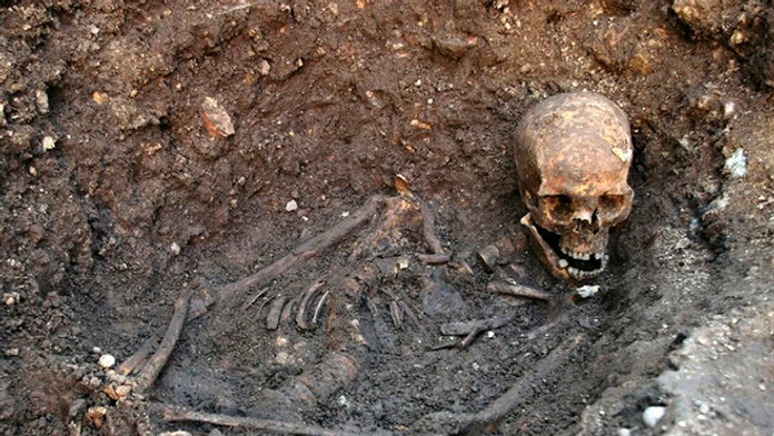 Pozostatky kráľa Richarda III., ktoré sa našli v septembri 2012 pod parkoviskom v centre mesta Leicester.