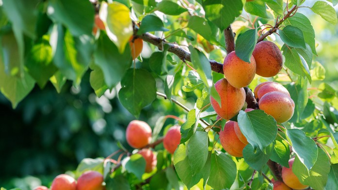 V centre Glasgowa vyčíňal útočník s nožom.jpg