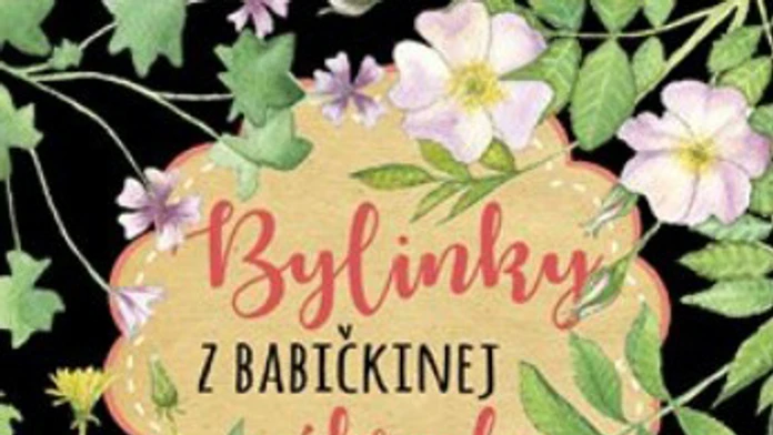 Obálka knihy.