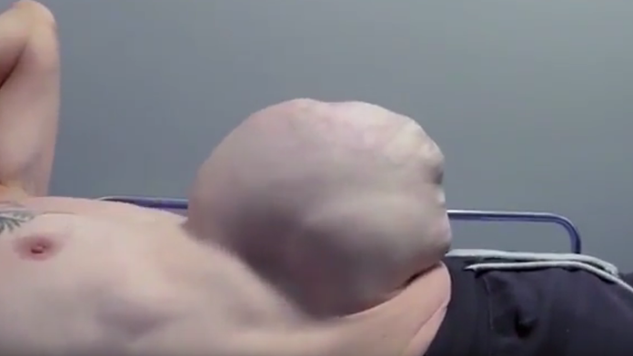 Bez názvu.png