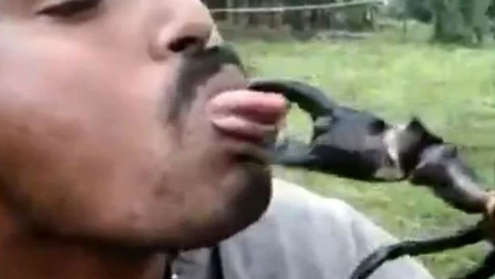 Man-taunts-crab-with-his-tongue.jpg