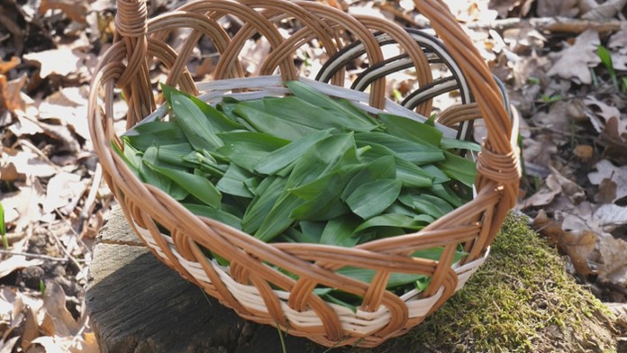 Na snímke leží na zemi klinec ako dôkazový materiál po výbuchu v centre Budapešti.