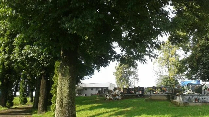 Cintorín v Krnči