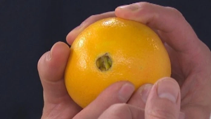 citrusy-v-kuchyni.jpg