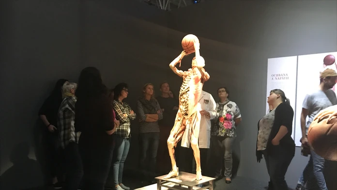 Chodník korunami stromov v Balchedovej doline neďaleko obce Ždiar.