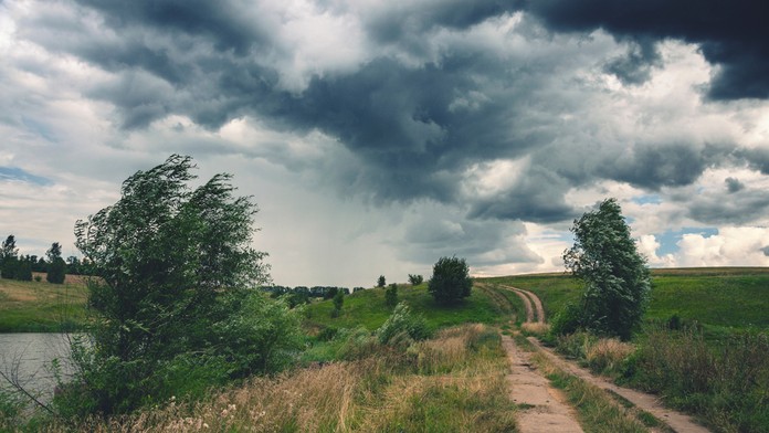 Juhovýchod Slovenska potrápi silný vietor. Pre sedem okresov platí výstraha