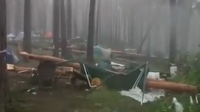 Bez názvu.png
