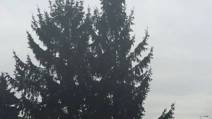 Miesto v Detve, kde našli dobitého muža.