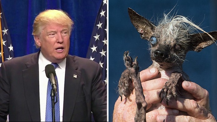 trump+pes.jpg