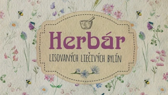 Obálka knihy.