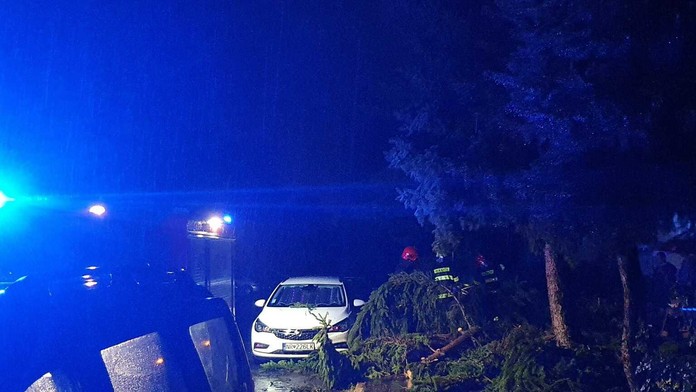 Hasiči musia odstrániť popadané stromy.