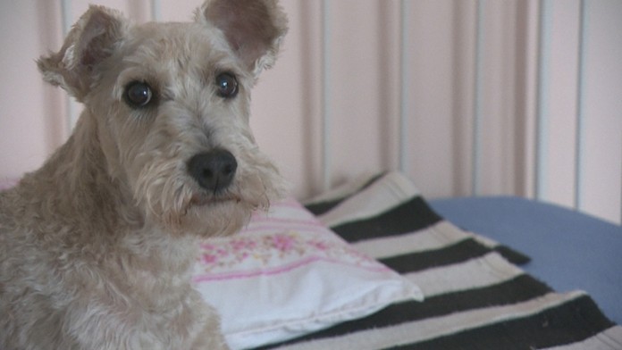 Ilustračná snímka. 