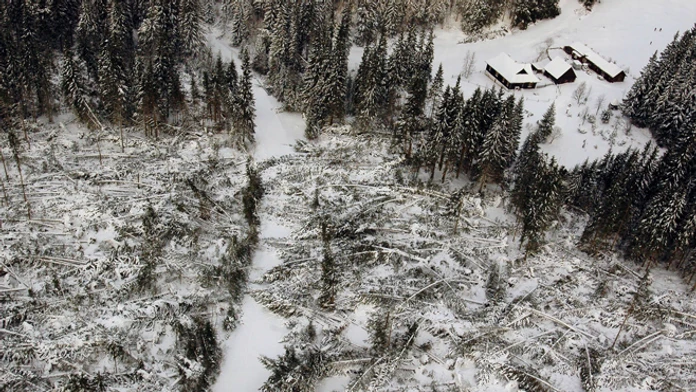 Vysoké Tatry po ničivej víchrici z 19. novembra 2004.