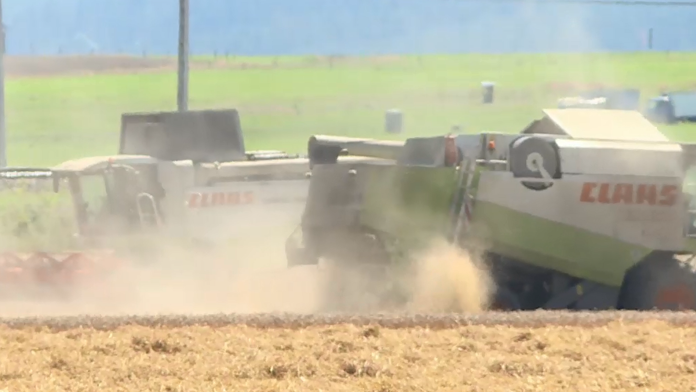 Žatva ide do finále