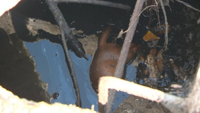 Igor Lavrinčík o údajne plánovanej vražde Pavla Ruska