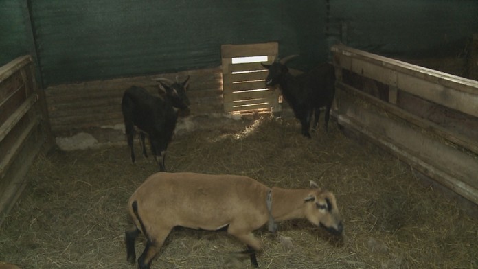 Miesto, kde došlo k bitke.