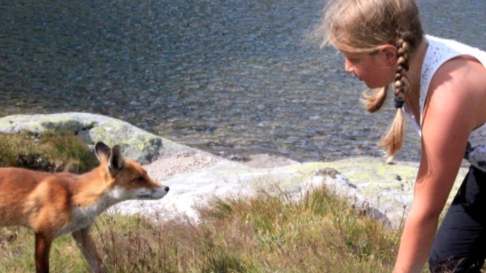 liska fotoweb_jpg_bez_watermarku_1.jpg