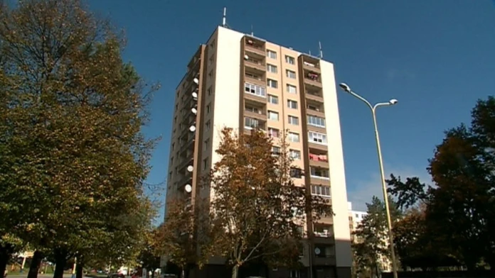 ELEKTRINAFOTO1web_jpg_bez_watermarku_1.jpg