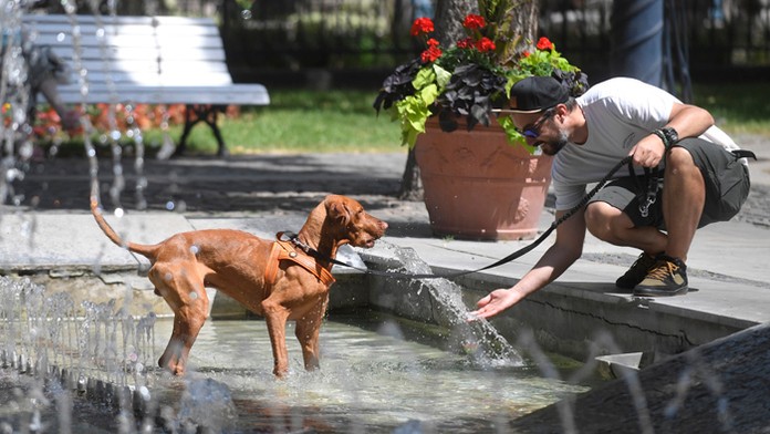 Ilustračná snímka.