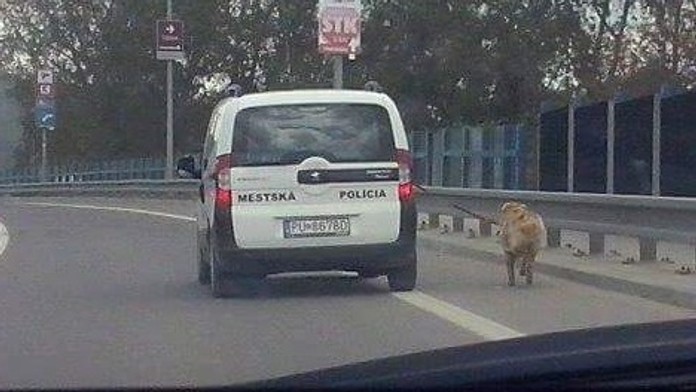 policajti venčia.jpg