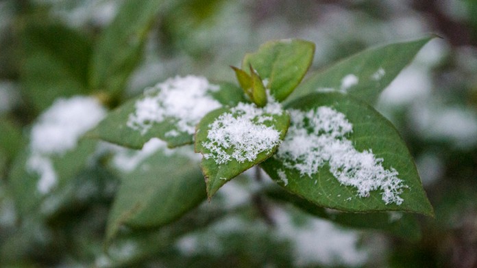 Ilustračná snímka.